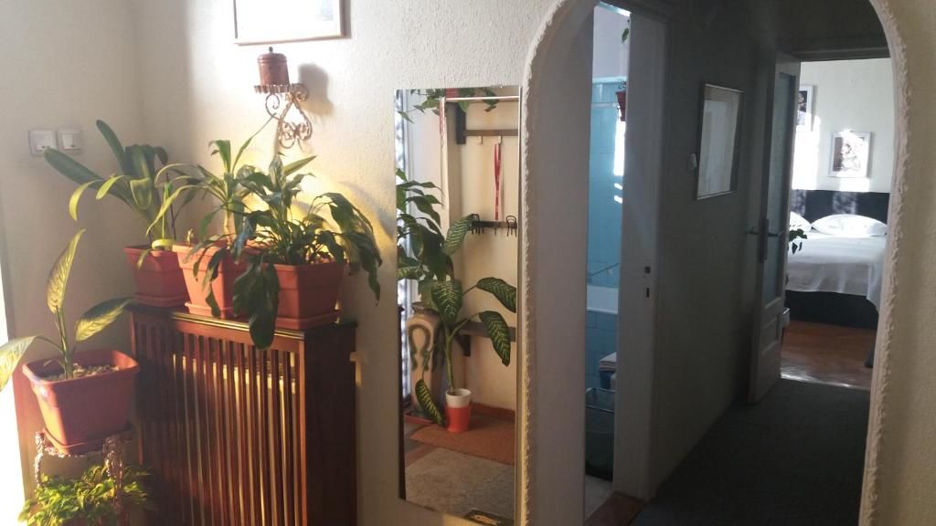 Гостевой дом 12 Residence Cotroceni Бухарест-49